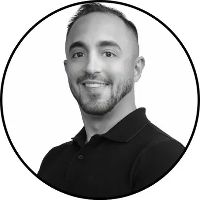 Dino Mesanovic, Agent